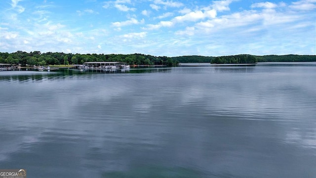 water view featuring a forest