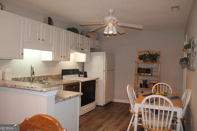 kitchen with stainless steel microwave, under cabinet range hood, electric stove, a ceiling fan, and dark wood-type flooring