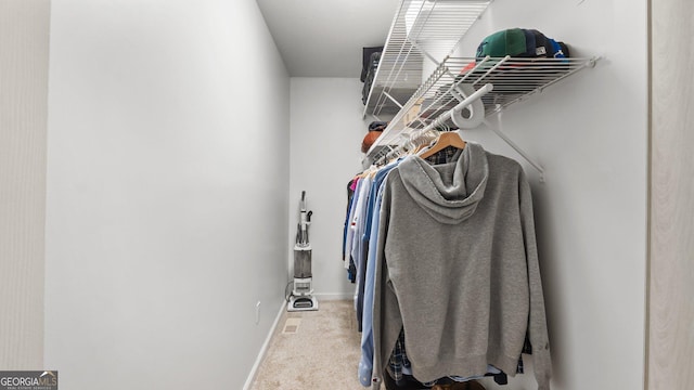 254 Merilyn Dr, Ringgold, GA 30736 - walk in closet with carpet flooring