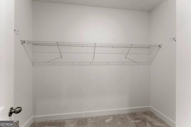 207 Hickory Bluffs Pkwy, Canton, GA 30114 - spacious closet featuring carpet flooring