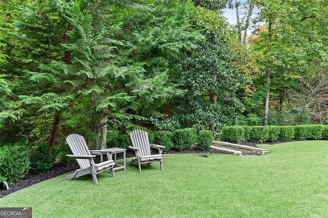 view of green lawn