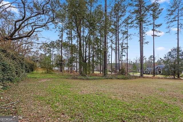 4227 Tillman Blf, Valdosta, GA 31602 - view of green lawn
