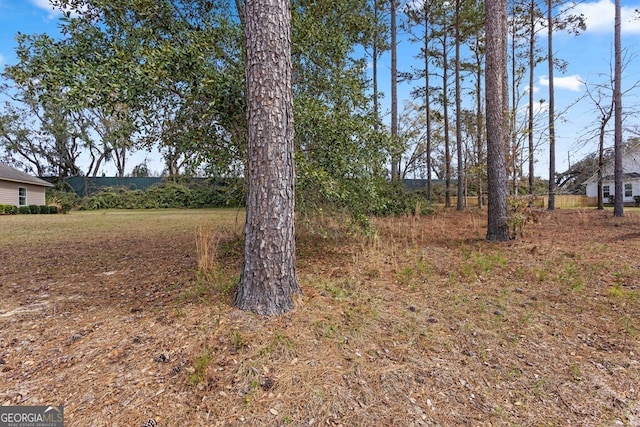 4227 Tillman Blf, Valdosta, GA 31602 - view of yard
