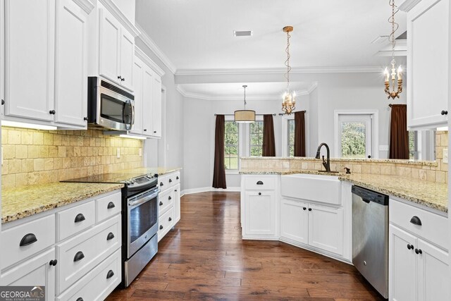 4227 Tillman Blf, Valdosta, GA 31602 - kitchen featuring stainless steel appliances, a sink, plenty of natural light, a peninsula, and ornamental molding