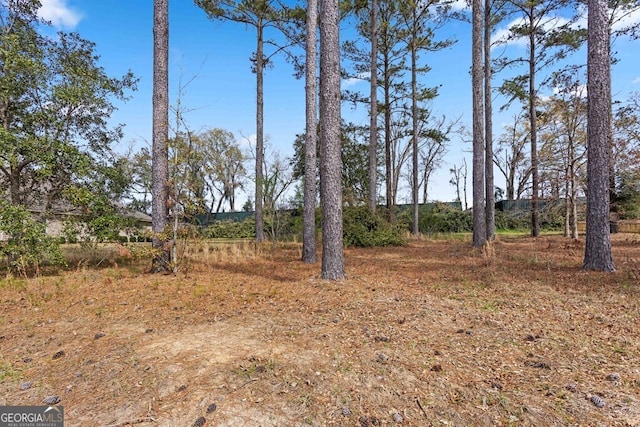 4227 Tillman Blf, Valdosta, GA 31602 - view of yard