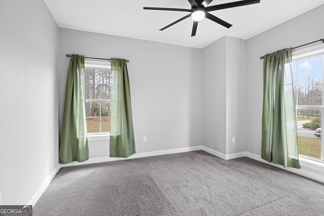 4227 Tillman Blf, Valdosta, GA 31602 - carpeted empty room with a ceiling fan, healthy amount of natural light, and baseboards