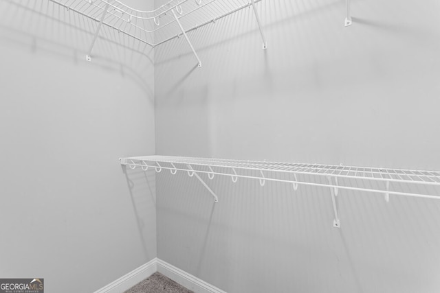 4227 Tillman Blf, Valdosta, GA 31602 - view of walk in closet
