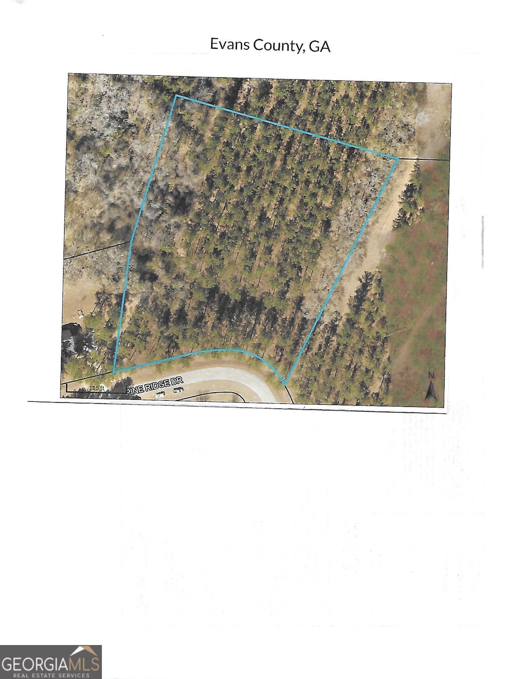 0 Pine Ridge Dr, Claxton, GA 30417