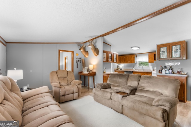 2021 Wyche Cir, Elberton, GA 30635 - living room featuring light wood-style floors, crown molding, and a textured ceiling
