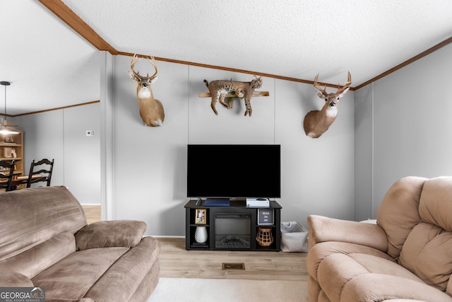 2021 Wyche Cir, Elberton, GA 30635 - living room with crown molding, wood finished floors, and a textured ceiling