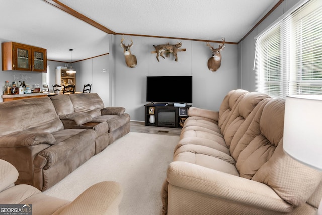 2021 Wyche Cir, Elberton, GA 30635 - living area featuring ornamental molding, lofted ceiling, and wood finished floors