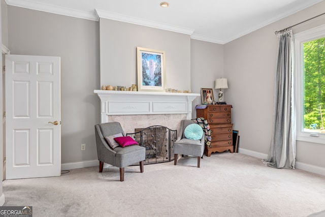 490 Water Wheel Ct, Cornelia, GA 30531 - living area with carpet flooring, ornamental molding, baseboards, and a premium fireplace