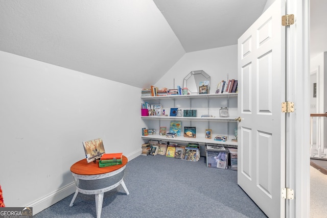 490 Water Wheel Ct, Cornelia, GA 30531 - playroom featuring vaulted ceiling, carpet floors, and baseboards