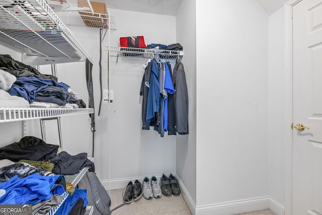490 Water Wheel Ct, Cornelia, GA 30531 - walk in closet featuring carpet flooring
