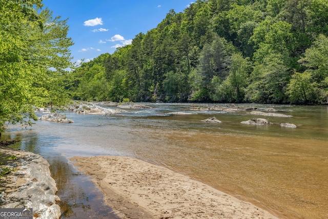 490 Water Wheel Ct, Cornelia, GA 30531 - water view with a forest