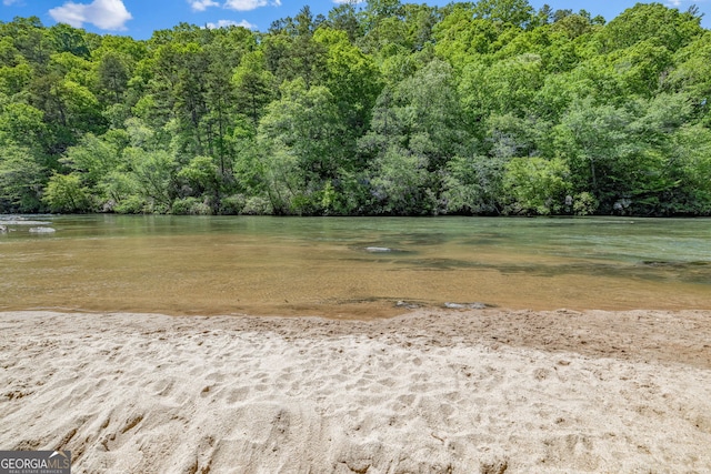 490 Water Wheel Ct, Cornelia, GA 30531 - view of wooded area featuring a water view