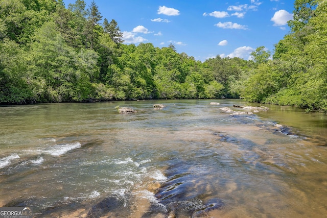 490 Water Wheel Ct, Cornelia, GA 30531 - water view with a forest