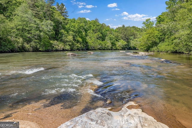 490 Water Wheel Ct, Cornelia, GA 30531 - water view with a heavily wooded area