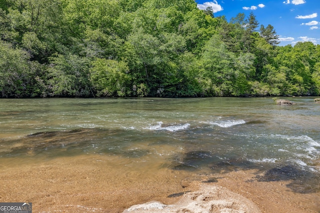 490 Water Wheel Ct, Cornelia, GA 30531 - water view with a forest