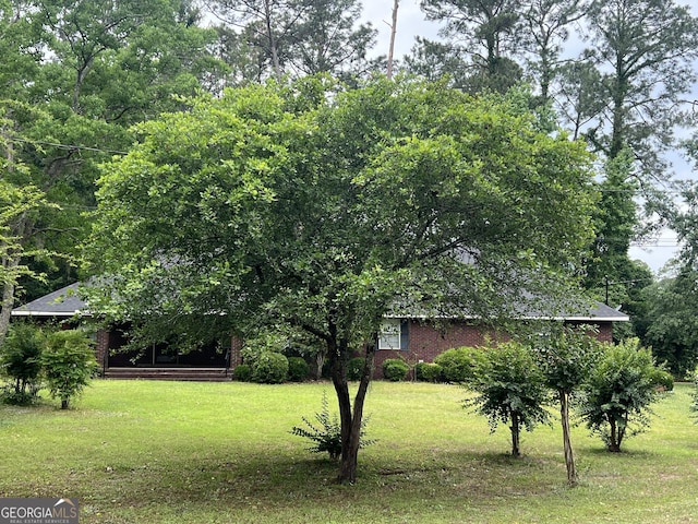 view of grassy yard