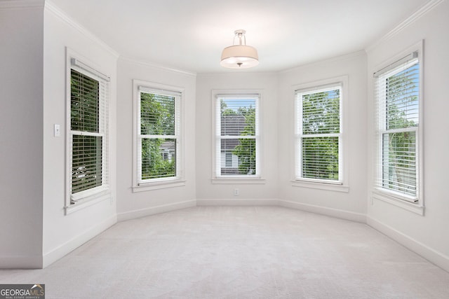315 Hembree Grove Trce, Roswell, GA 30076 - carpeted spare room with crown molding and baseboards