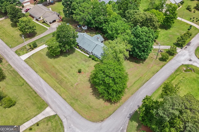 bird's eye view