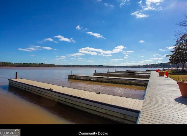 dock with a water view