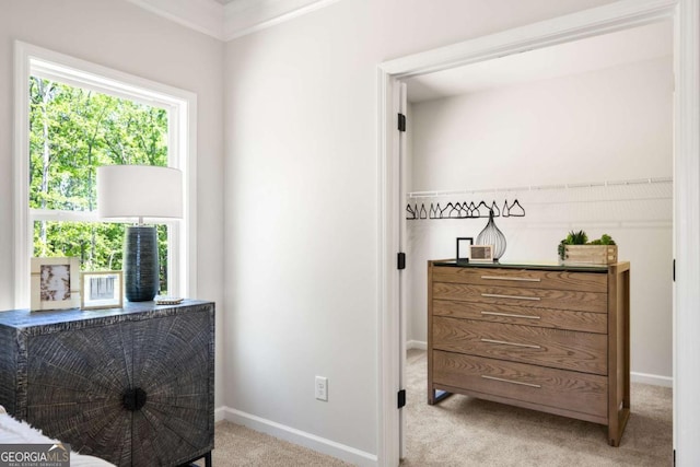 living area with carpet and baseboards