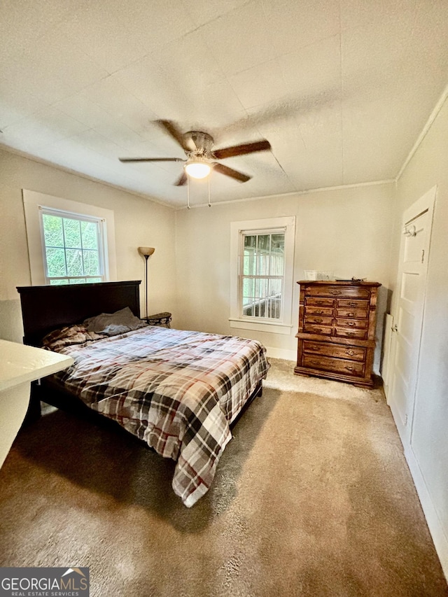 151 W Ellawood Ave, Cedartown, GA 30125 - bedroom featuring carpet and a ceiling fan