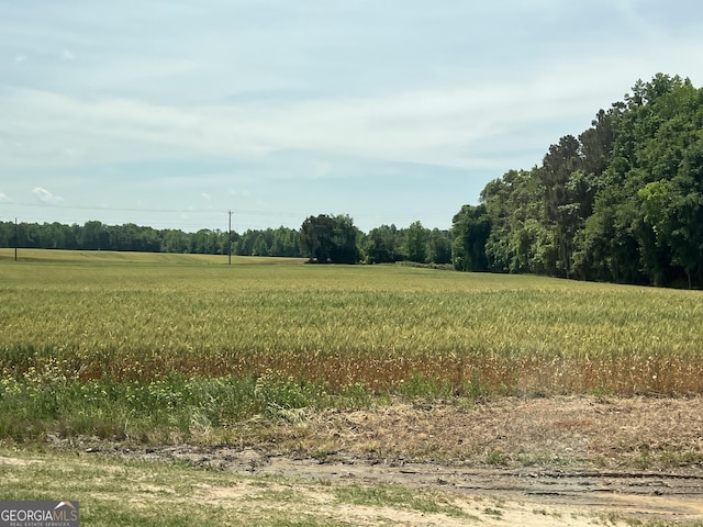 120 Magnolia Trl, Milner, GA 30257 - view of local wilderness featuring rural landscape