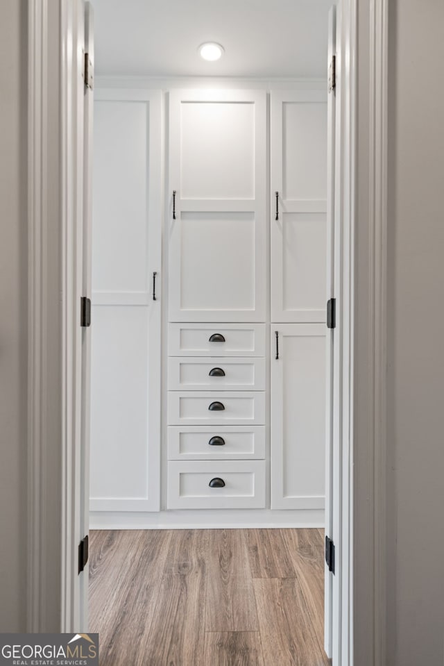 view of closet