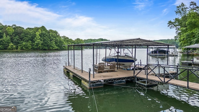 dock area with a water view