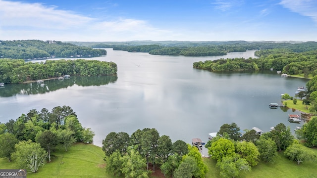 drone / aerial view of a large body of water and a heavily wooded area
