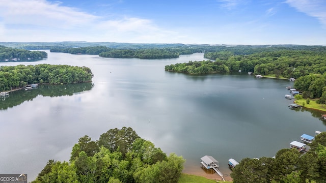 bird's eye view of a nearby body of water and a heavily wooded area