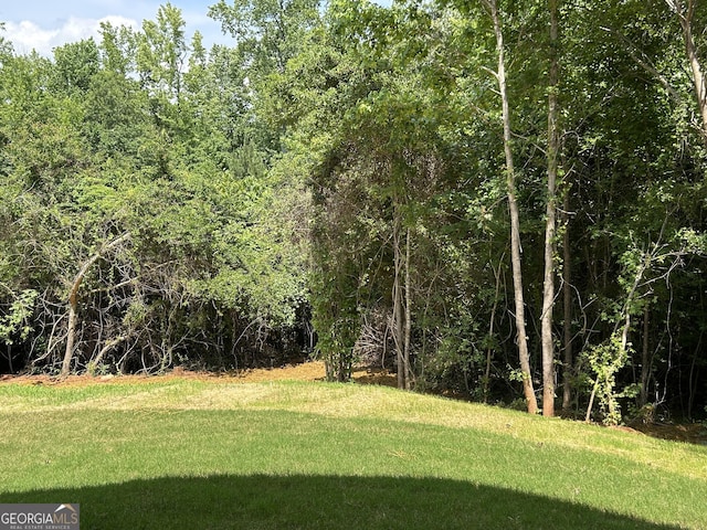 164 David Elder Rd, Griffin, GA 30223 - view of green lawn