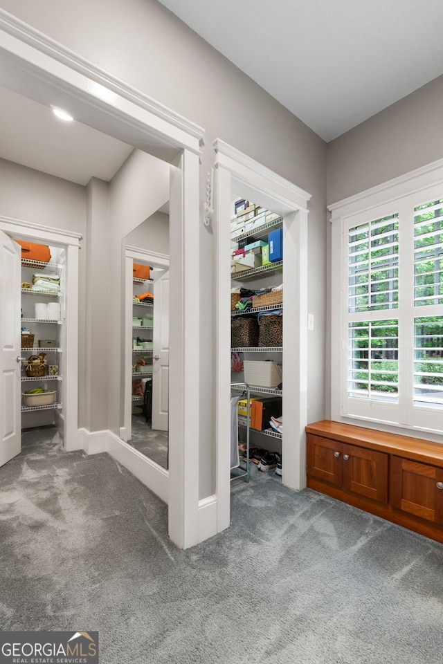 130 Allie Dr, Mcdonough, GA 30252 - view of closet