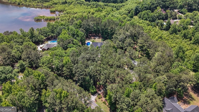 130 Allie Dr, Mcdonough, GA 30252 - bird's eye view of a forest and a nearby body of water