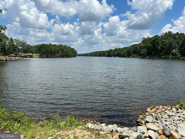 130 Allie Dr, Mcdonough, GA 30252 - water view