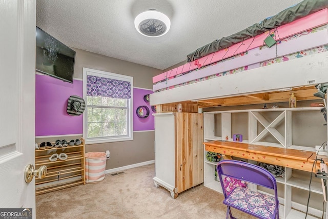 46 SW Colleen Karen Rd SW, Euharlee, GA 30120 - bedroom featuring a textured ceiling, carpet, and baseboards