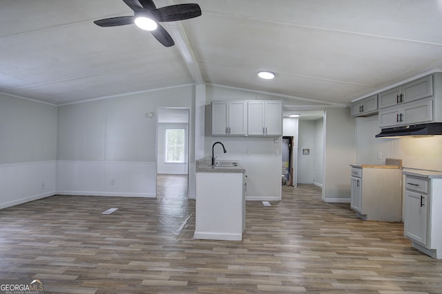 kitchen with under cabinet range hood, light wood-style flooring, a ceiling fan, and open floor plan