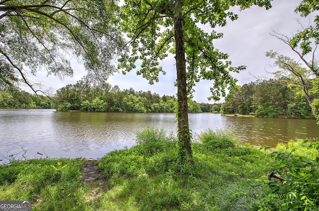 water view with a heavily wooded area