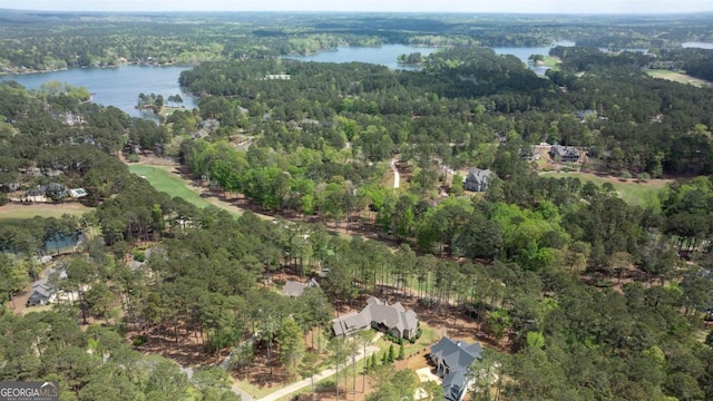 1111 Swift Crk, Greensboro, GA 30642 - aerial overview of property's location featuring a large body of water