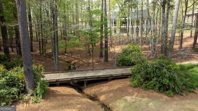1111 Swift Crk, Greensboro, GA 30642 - view of yard