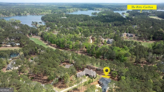 1111 Swift Crk, Greensboro, GA 30642 - aerial view of property's location featuring a large body of water