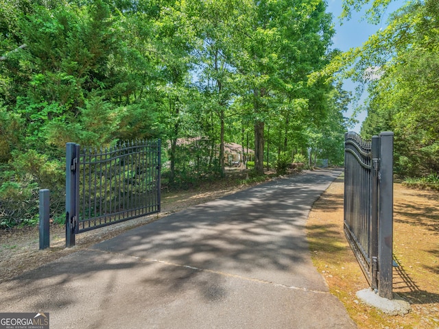 175 N Unity Grove Rd, Locust Grove, GA 30248 - view of gate