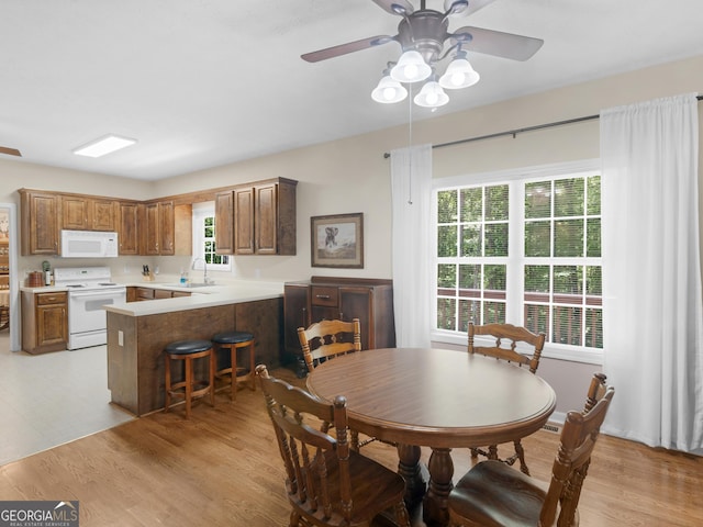 175 N Unity Grove Rd, Locust Grove, GA 30248 - dining space featuring ceiling fan and light wood-style floors