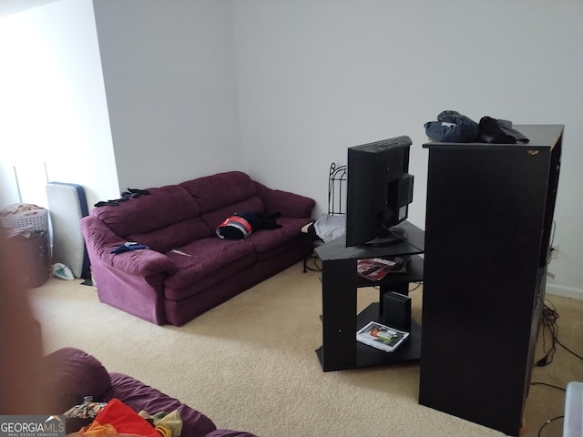 11950 Markham Way, Hampton, GA 30228 - view of carpeted living room