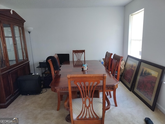 11950 Markham Way, Hampton, GA 30228 - dining area with light colored carpet