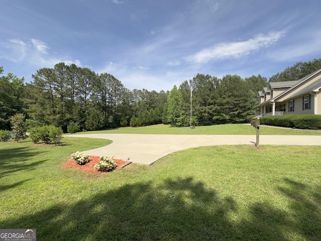view of grassy yard