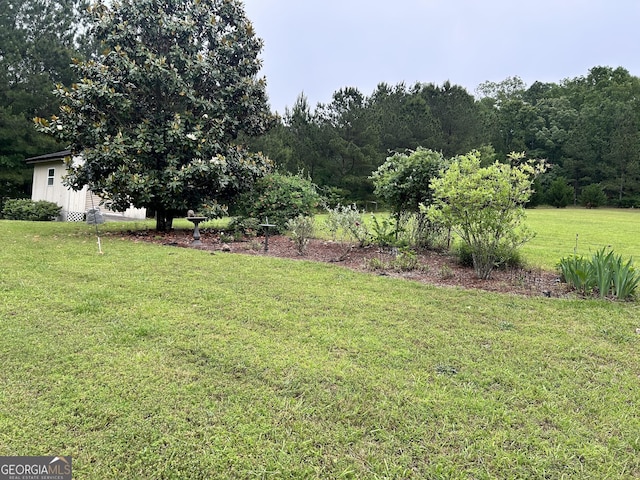 view of grassy yard